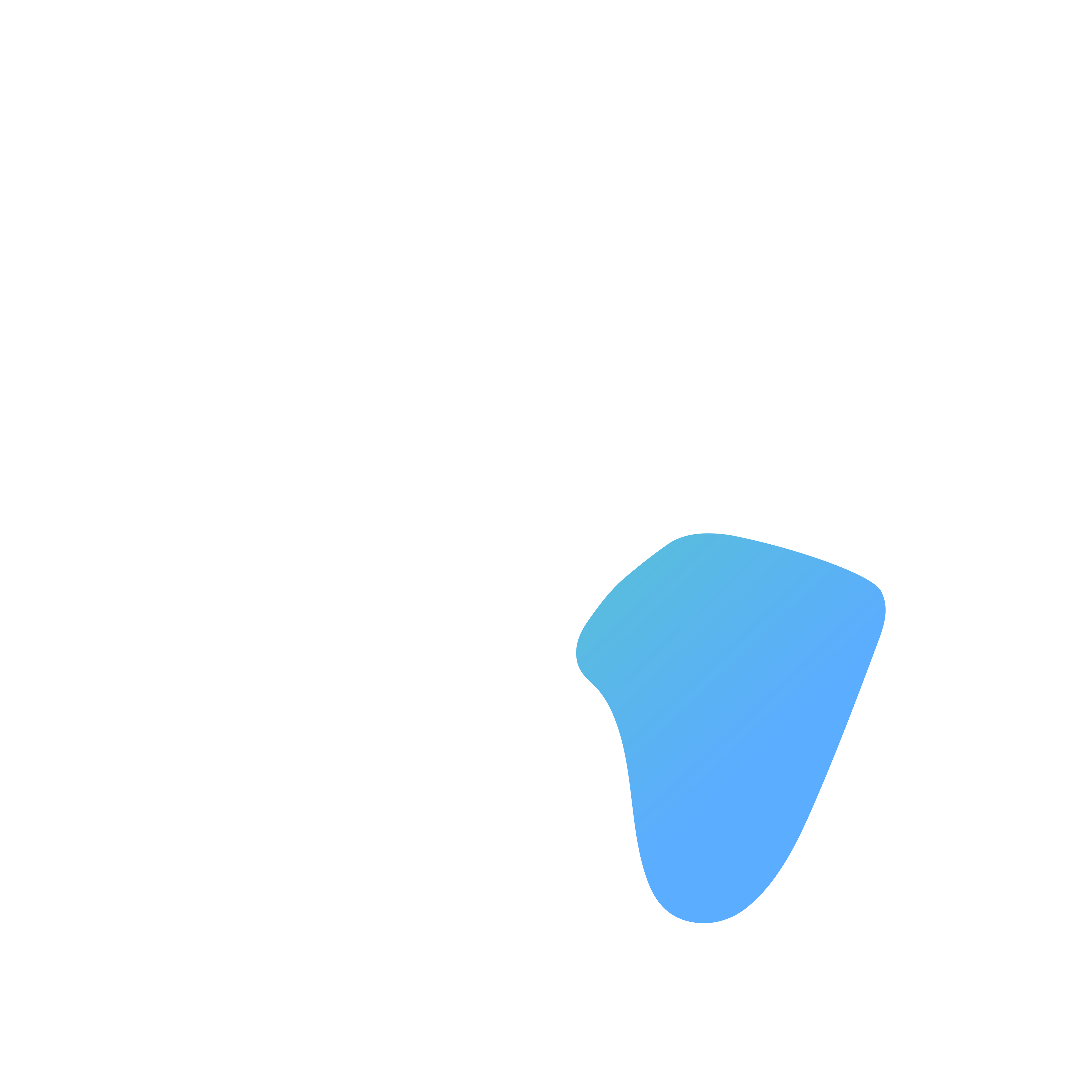 Foundation
